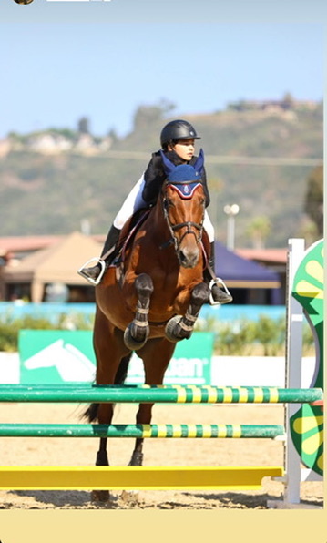 Junior rider jumping hunter course at Hegewisch Stables show